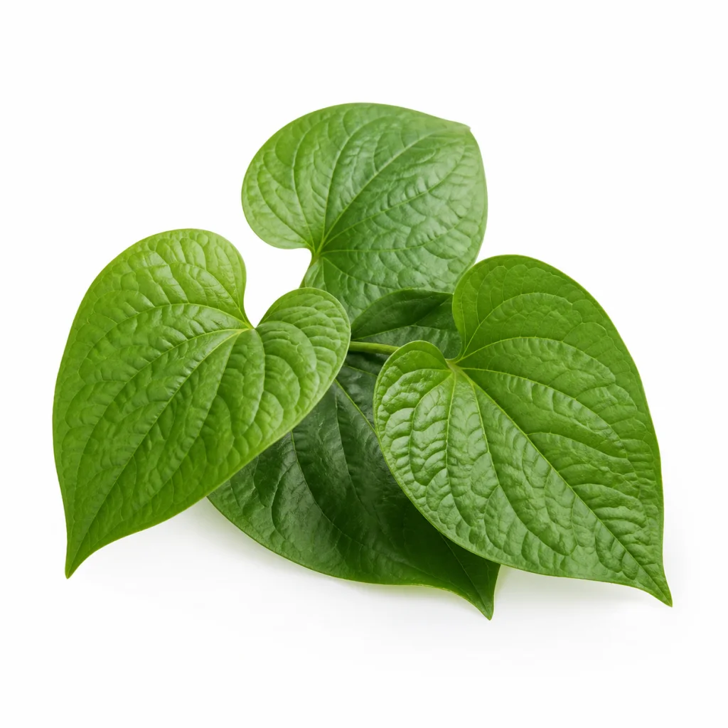 Heartleaf
